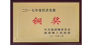 榮獲漓渚鎮2017年度經(jīng)濟發(fā)展銅獎.JPG