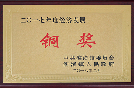 漓渚鎮2017年度經(jīng)濟發(fā)展銅獎